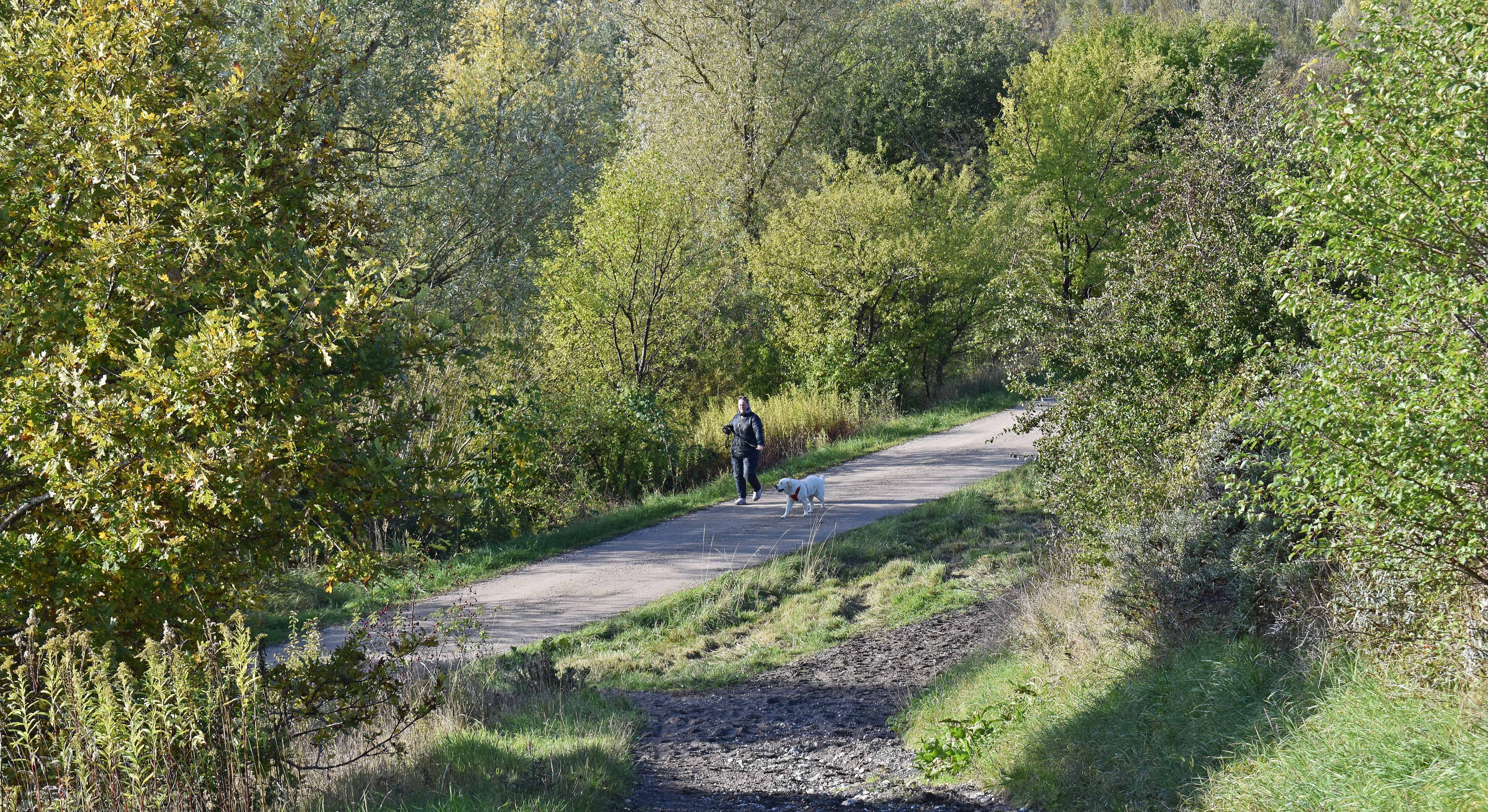 Bakker og hundelufter